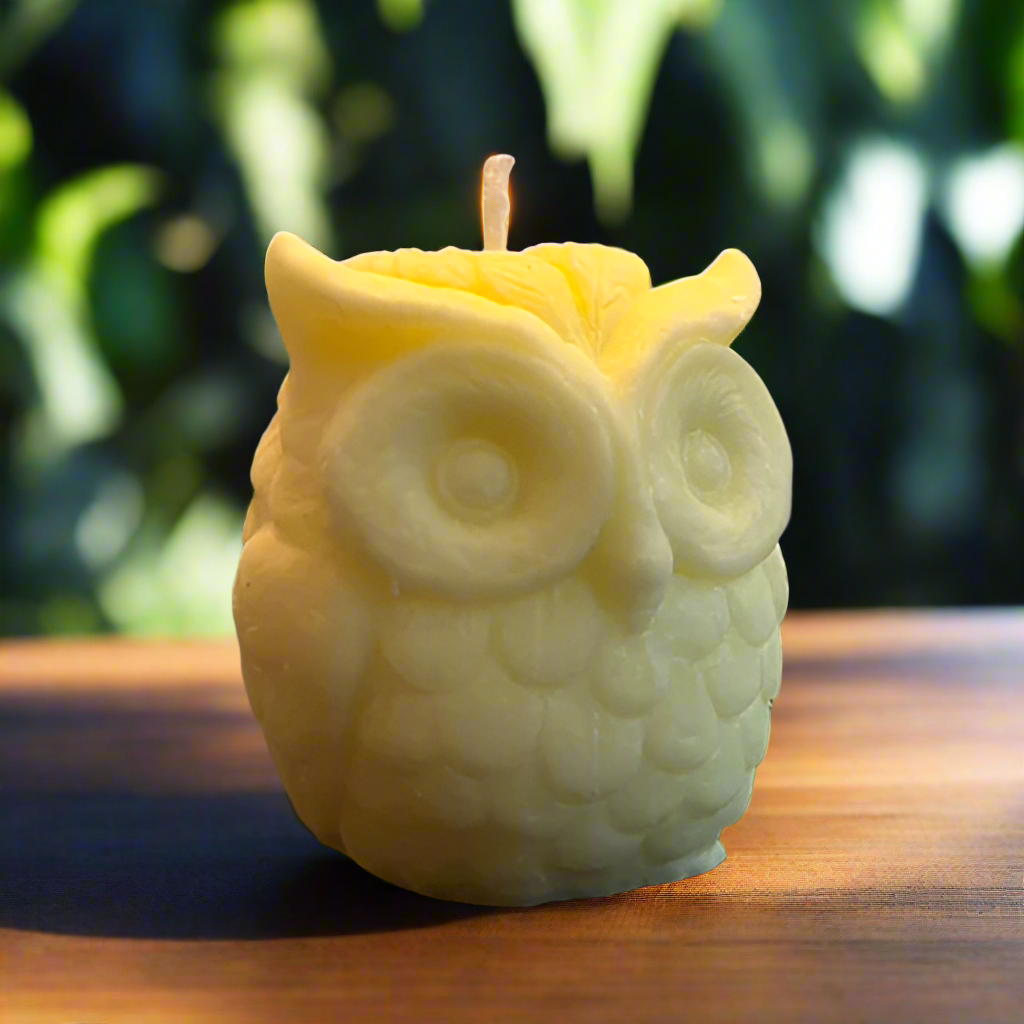 Enchanting Owl Candle