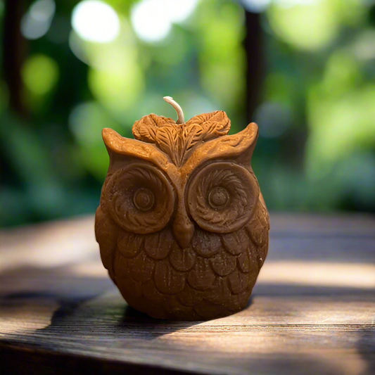 Enchanting Owl Candle